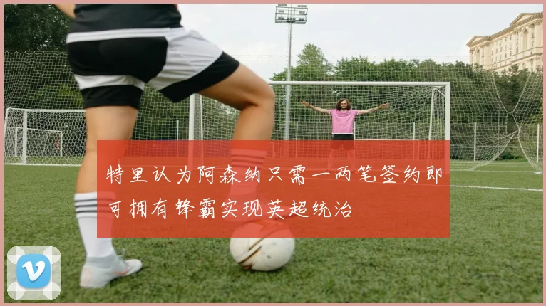 特里认为阿森纳只需一两笔签约即可拥有锋霸实现英超统治